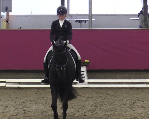 Reitturnier Vlotho-Exter 2020