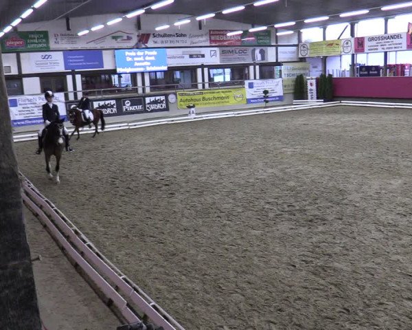 Reitturnier Vlotho-Exter 2020