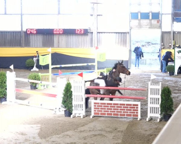 Reitturnier Erlen 2020
