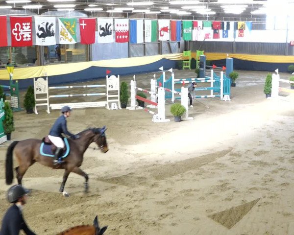 Reitturnier Erlen 2020