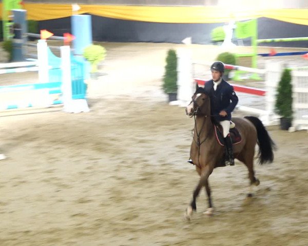 Reitturnier Erlen 2020