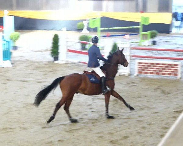 Reitturnier Erlen 2020