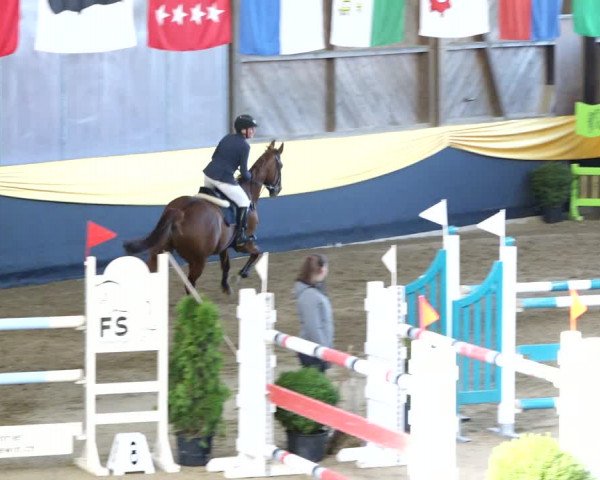 Reitturnier Erlen 2020