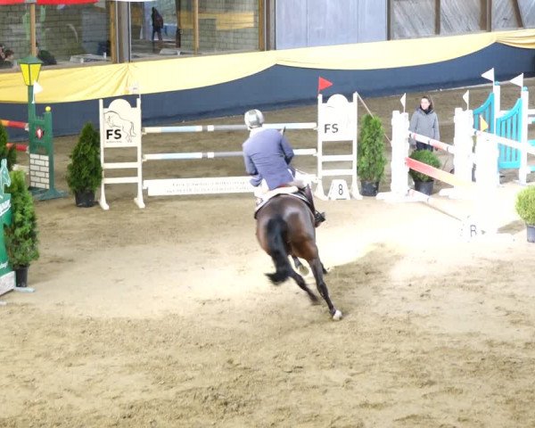Reitturnier Erlen 2020
