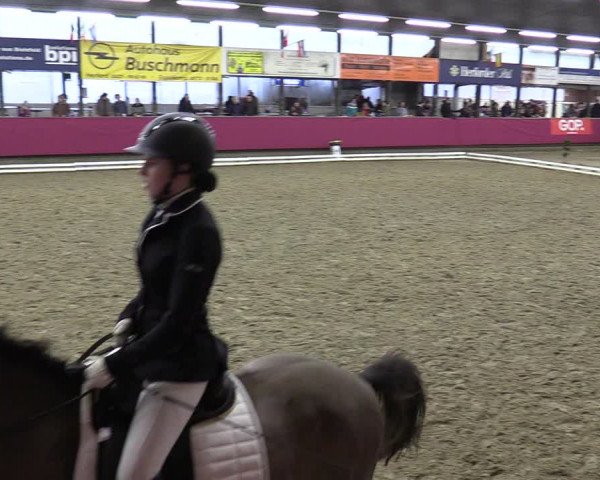 Reitturnier Vlotho-Exter 2020