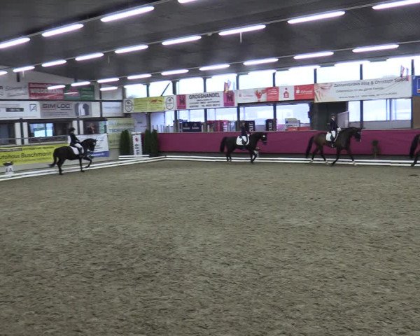 Reitturnier Vlotho-Exter 2020