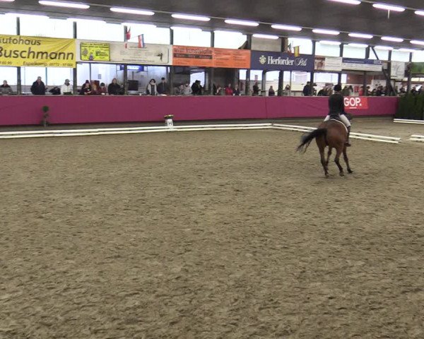Reitturnier Vlotho-Exter 2020