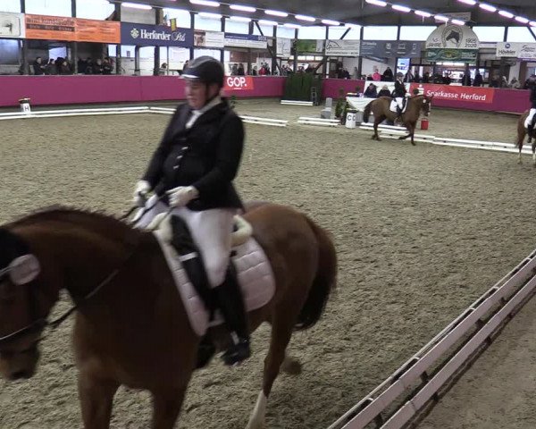 Reitturnier Vlotho-Exter 2020