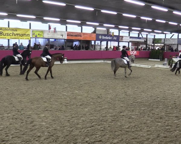Reitturnier Vlotho-Exter 2020