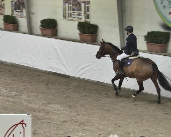 Reitturnier Viernheim 2020