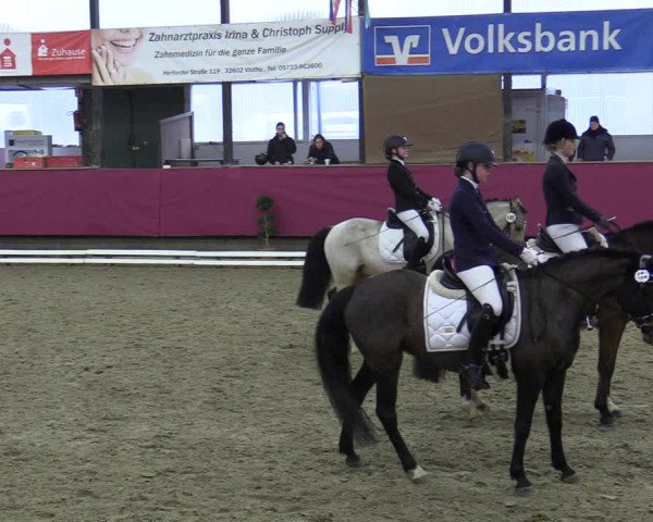 Reitturnier Vlotho-Exter 2020