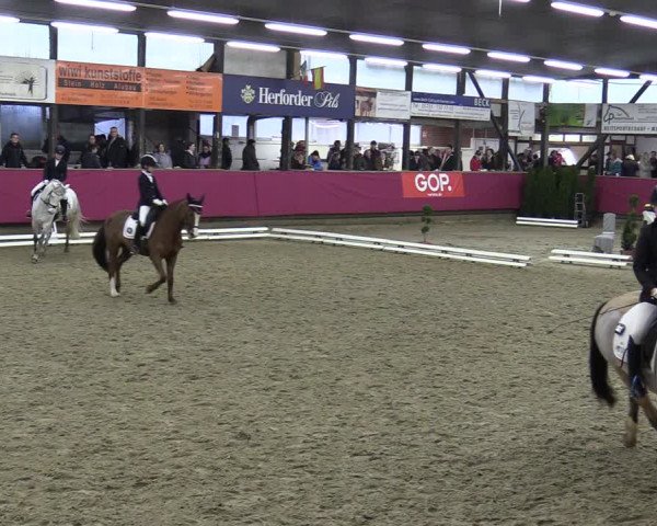 Reitturnier Vlotho-Exter 2020