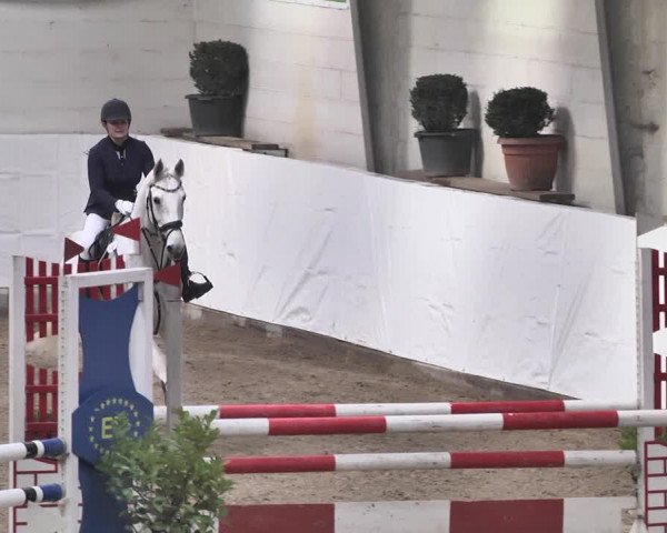 Reitturnier Viernheim 2020