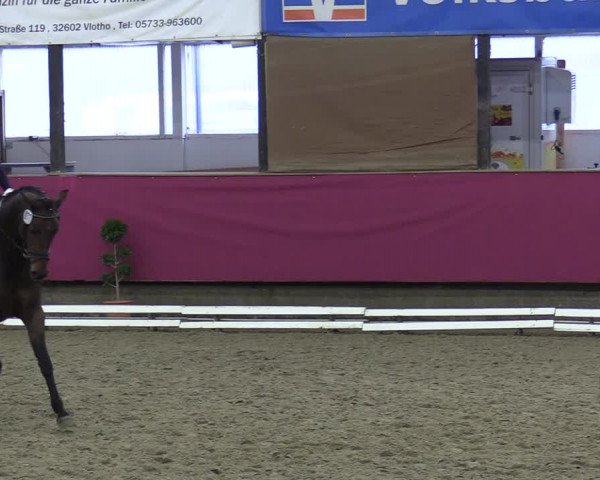 Reitturnier Vlotho-Exter 2020