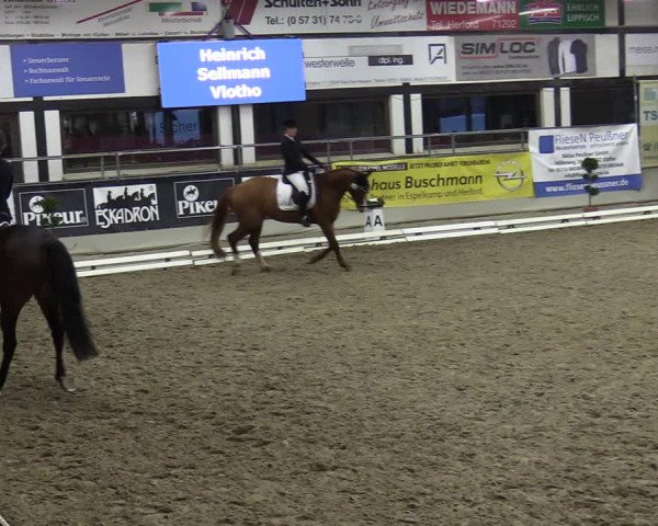 Reitturnier Vlotho-Exter 2020