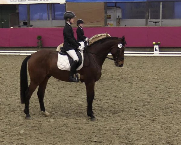 Reitturnier Vlotho-Exter 2020
