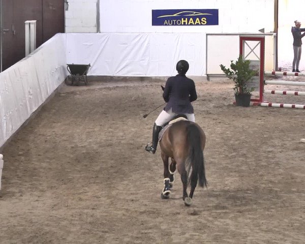 Reitturnier Viernheim 2020