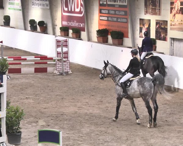 Reitturnier Viernheim 2020