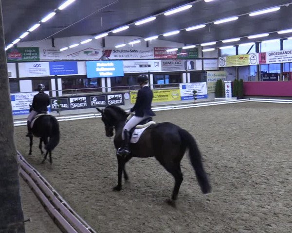 Reitturnier Vlotho-Exter 2020