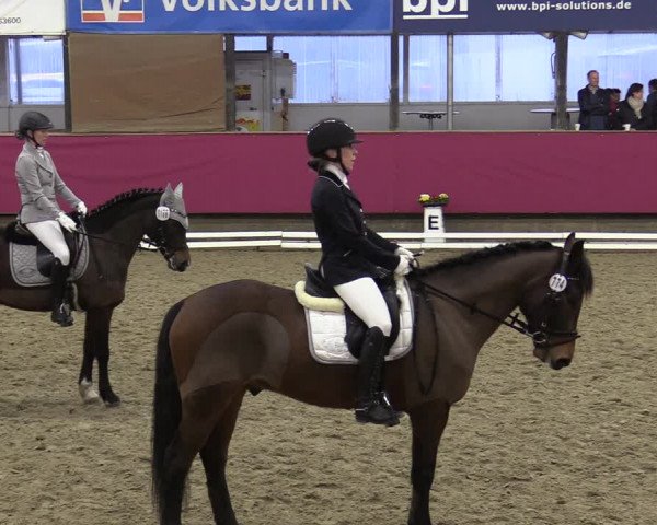 Reitturnier Vlotho-Exter 2020