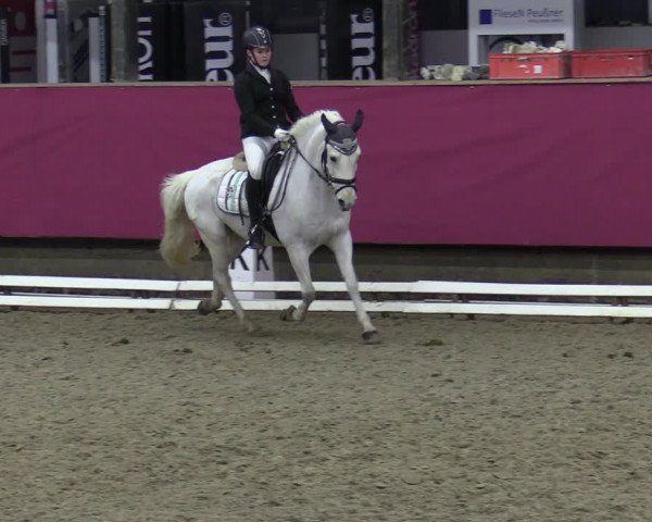 Reitturnier Vlotho-Exter 2020