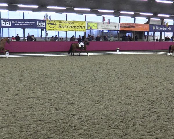 Reitturnier Vlotho-Exter 2020