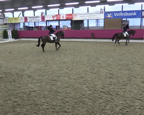Reitturnier Vlotho-Exter 2020