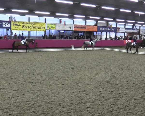Reitturnier Vlotho-Exter 2020