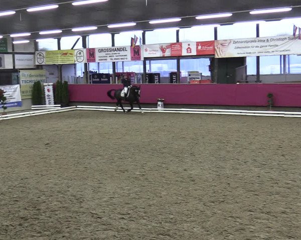 Reitturnier Vlotho-Exter 2020