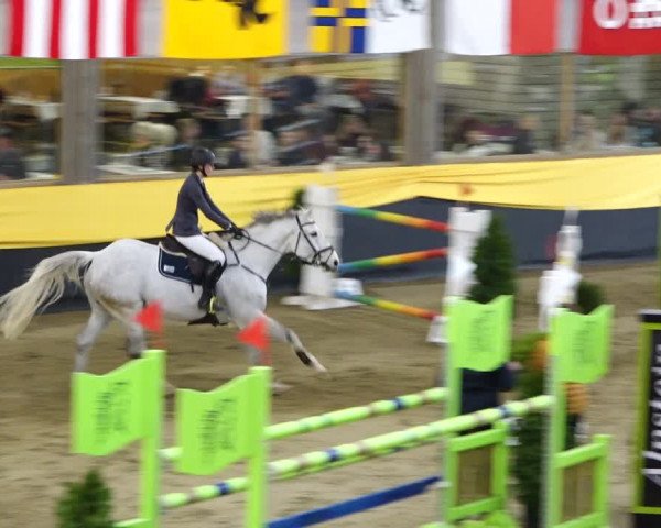 Reitturnier Erlen 2020