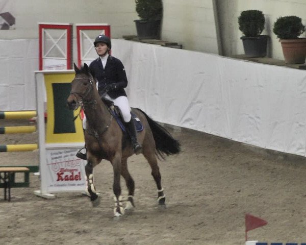 Reitturnier Viernheim 2020