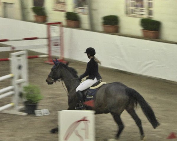 Reitturnier Viernheim 2020