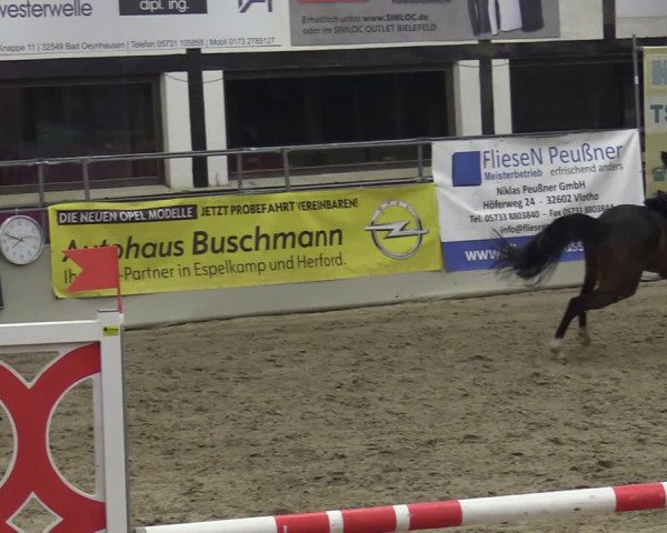 Reitturnier Vlotho-Exter 2020