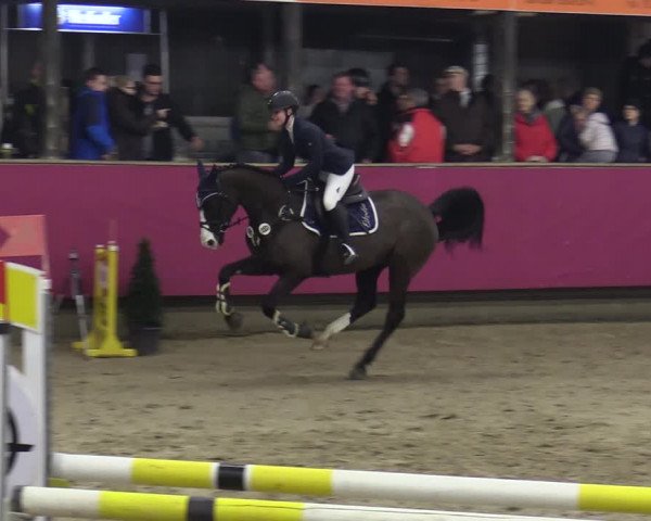 Reitturnier Vlotho-Exter 2020