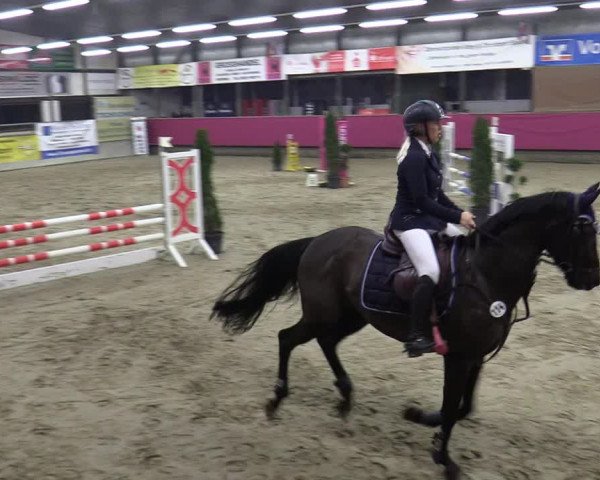Reitturnier Vlotho-Exter 2020