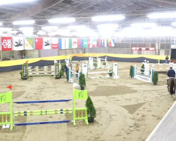 Reitturnier Erlen 2020