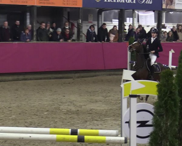 Reitturnier Vlotho-Exter 2020