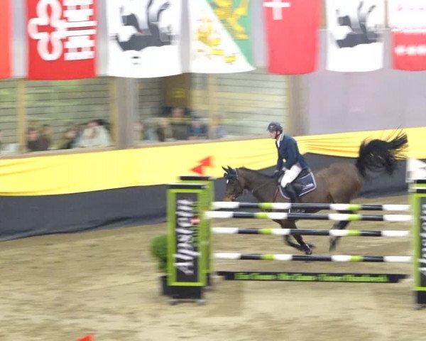Reitturnier Erlen 2020