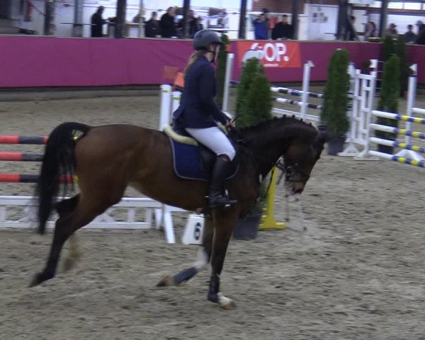 Reitturnier Vlotho-Exter 2020