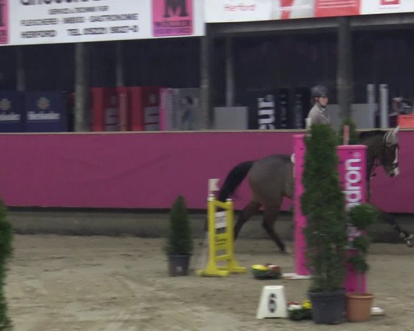 Reitturnier Vlotho-Exter 2020