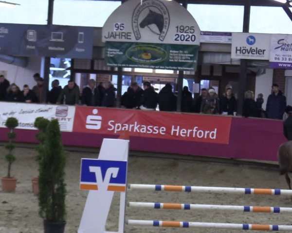Reitturnier Vlotho-Exter 2020