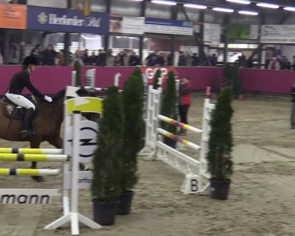 Reitturnier Vlotho-Exter 2020