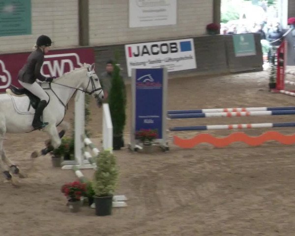 Reitturnier Heilbronn 2021