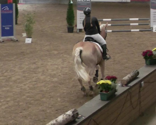 Reitturnier Heilbronn 2021