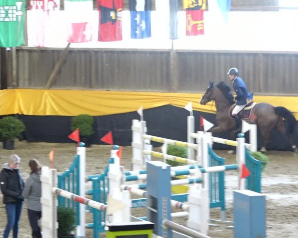 Reitturnier Erlen 2020