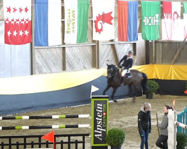 Reitturnier Erlen 2020