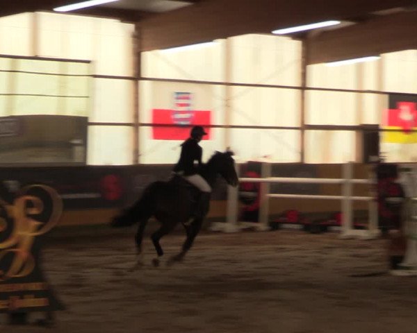 Große Jumping-Trophy Pausin 2021