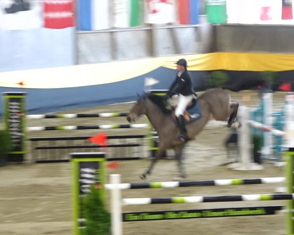 Reitturnier Erlen 2020
