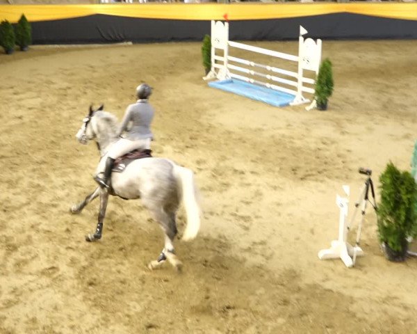 Reitturnier Erlen 2020