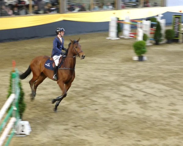 Reitturnier Erlen 2020